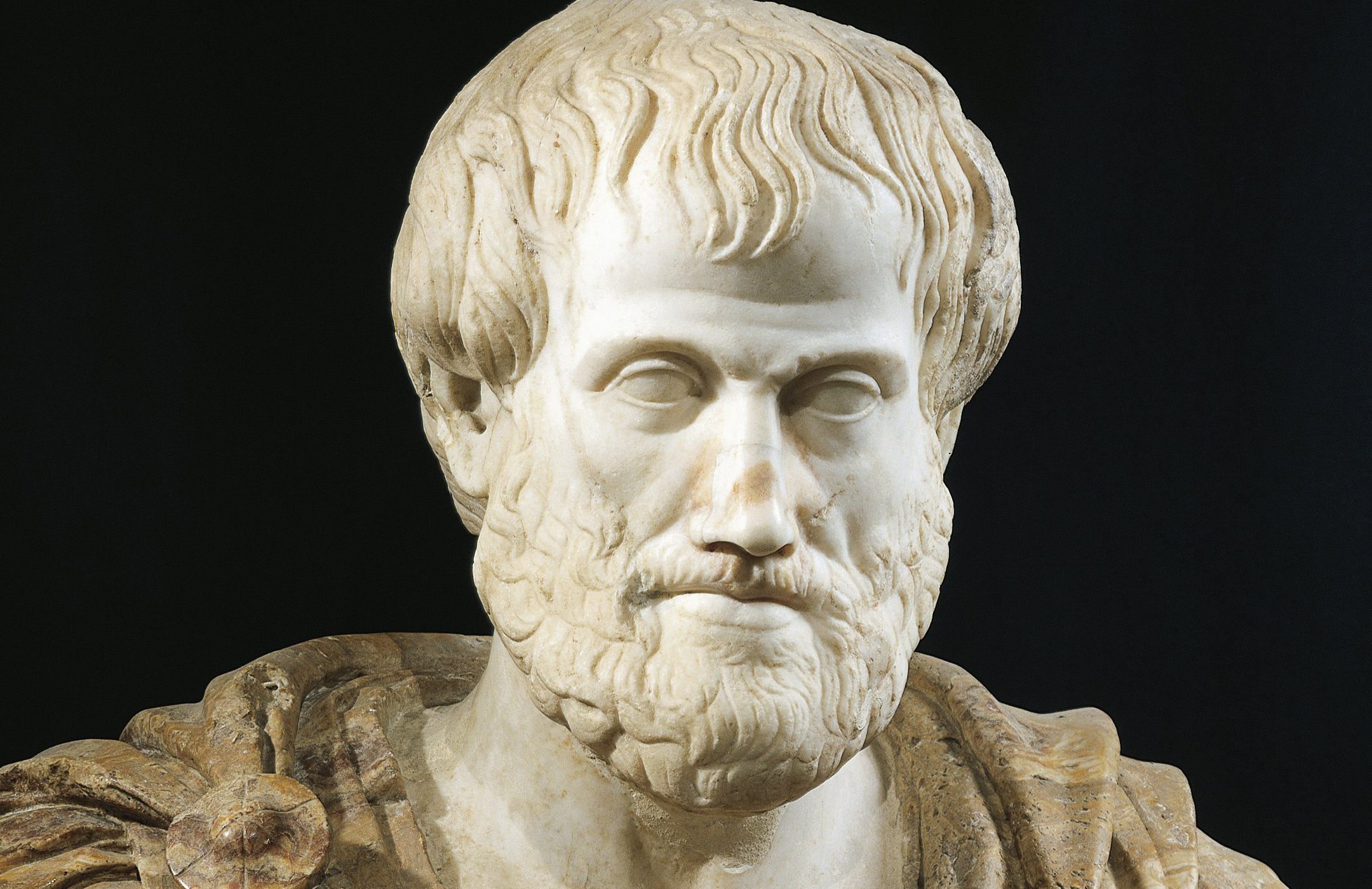 Аристотель (384-322 гг. до н.э.)